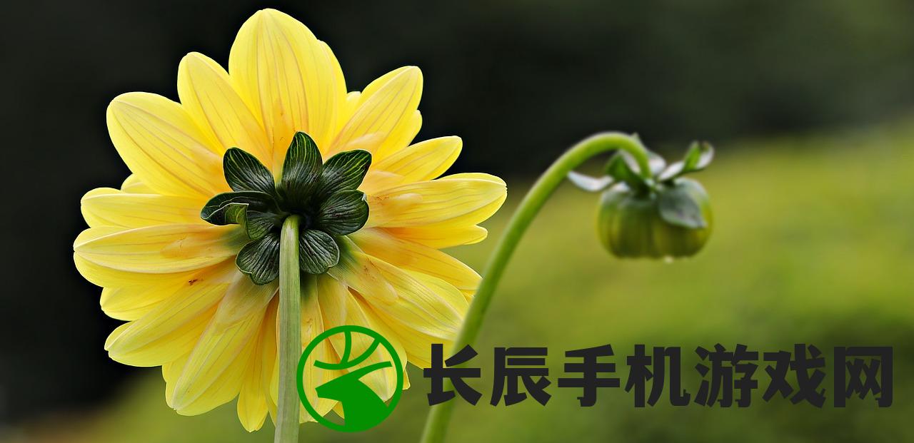 (史小坑的花前月下结局)史小坑的花前月下：纯真的爱情与无尽的思念